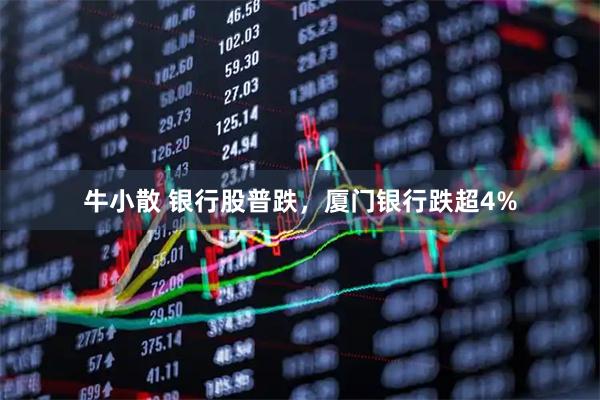 牛小散 银行股普跌，厦门银行跌超4%