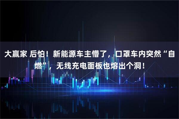 大赢家 后怕!新能源车主懵了,口罩车内突然“自燃”,无线充电面板也熔出个洞!