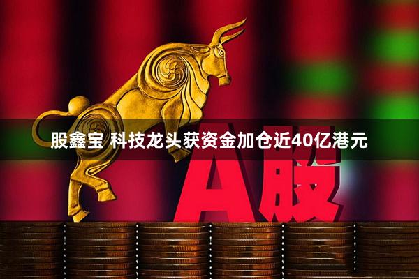 股鑫宝 科技龙头获资金加仓近40亿港元