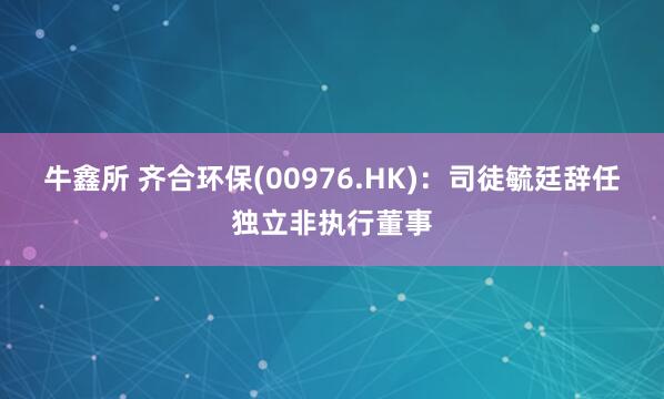 牛鑫所 齐合环保(00976.HK)：司徒毓廷辞任独立非执行董事