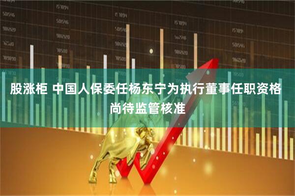 股涨柜 中国人保委任杨东宁为执行董事任职资格 尚待监管核准